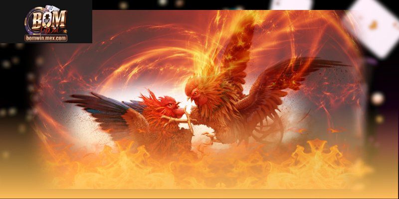 Trận chiến cựa dao mang tính chất sinh tử cao