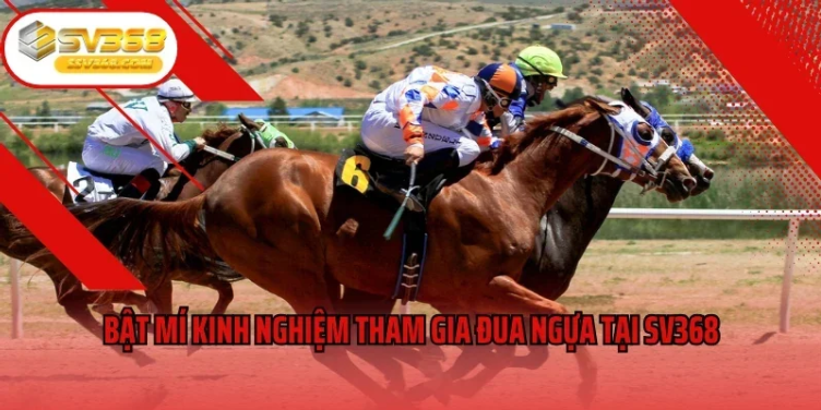 Đua Ngựa SV368 Và Sức Hút Từ Những Cuộc Tranh Tài Tốc Độ Đầy Kịch Tính