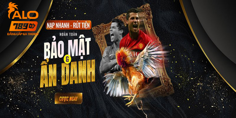 Hướng dẫn sử dụng Link vào Alo789 hiệu quả