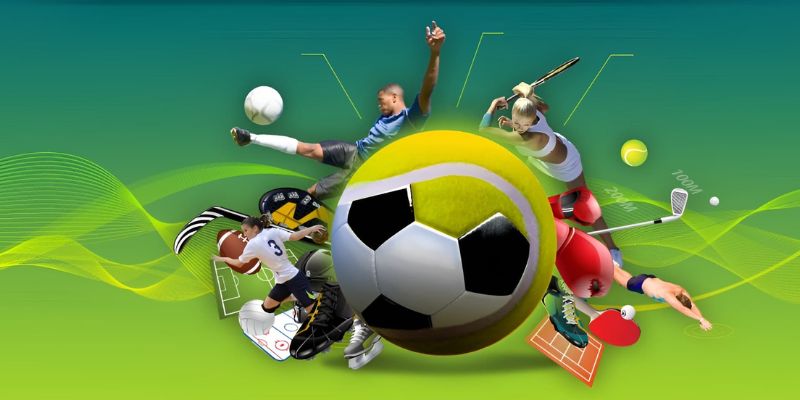 Thể thao Bomwin - 5 lý do thu hút người chơi 2026