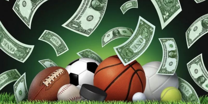 Tổng quan về thể thao Bomwin