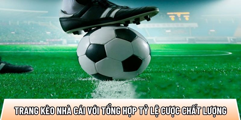 Trang kèo nhà cái với tổng hợp tỷ lệ cược chất lượng