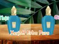 Cách phân biệt nước hoa Xerjoff Erba Pura thật giả