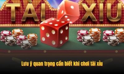 Khám phá luật chơi chiến thuật và sức hút Tài Xỉu không thể bỏ qua