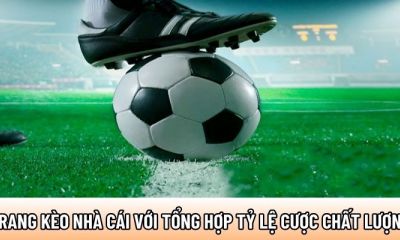 Kèo nhà cái cập nhật nhanh chuẩn xác mỗi ngày cho hội viên